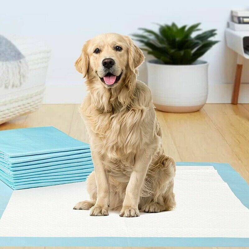Puppy Training Pads with Wet Indicator Train Toilet Pee Wee Poo Dog Pet Cat Mats